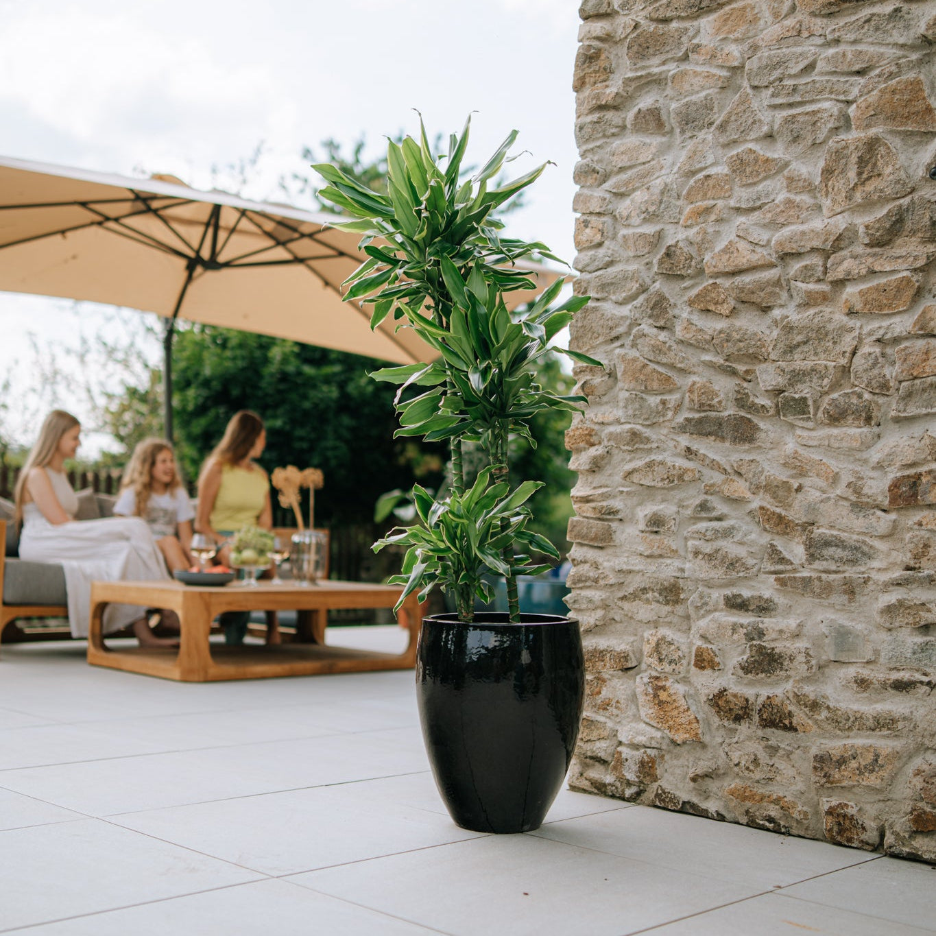 Keramický kvetináč LAFONTAINE - Čierna