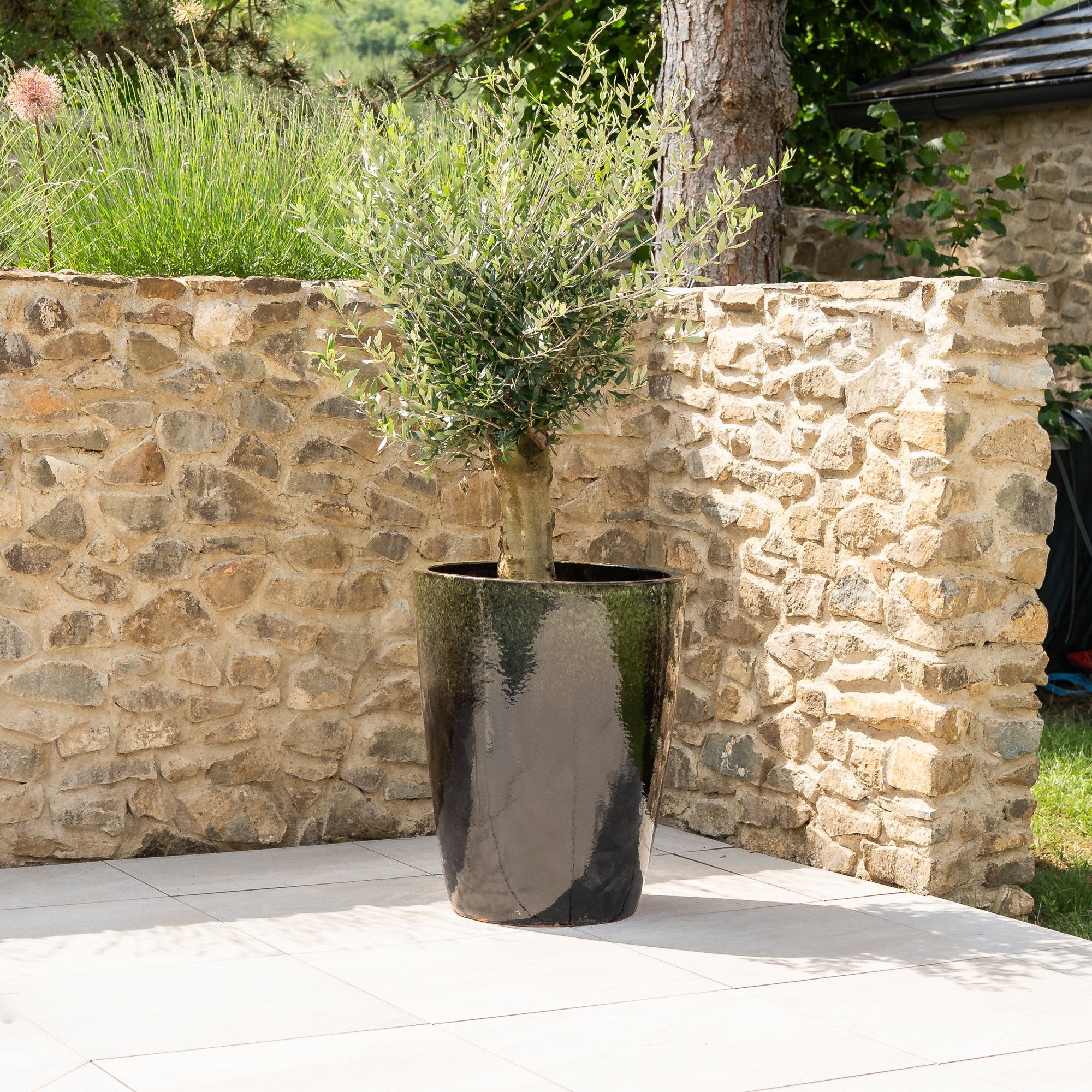 Keramicky kvetináč Mazarin - Čierno zelený