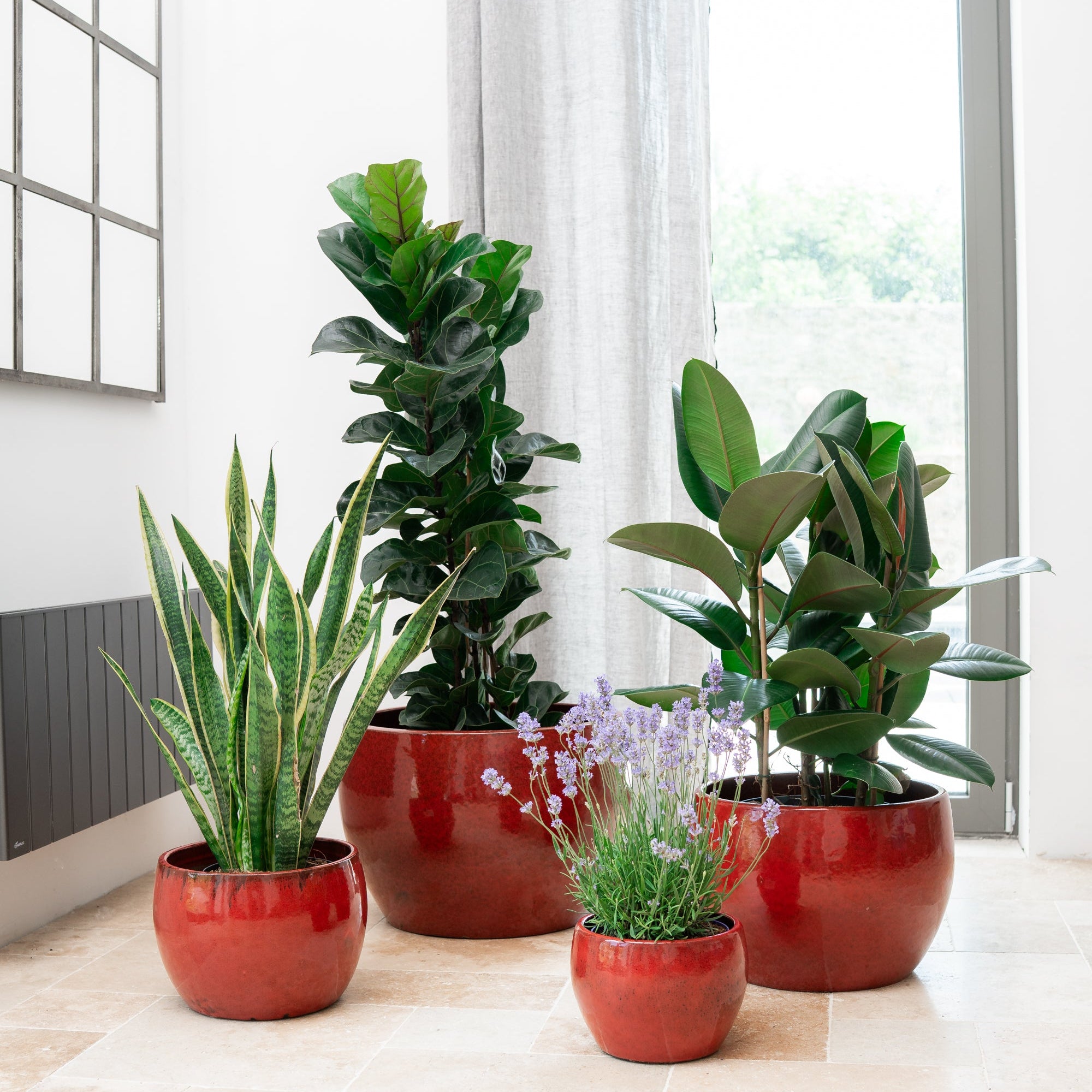 Keramicky kvetináč Romulus - Tropická červená