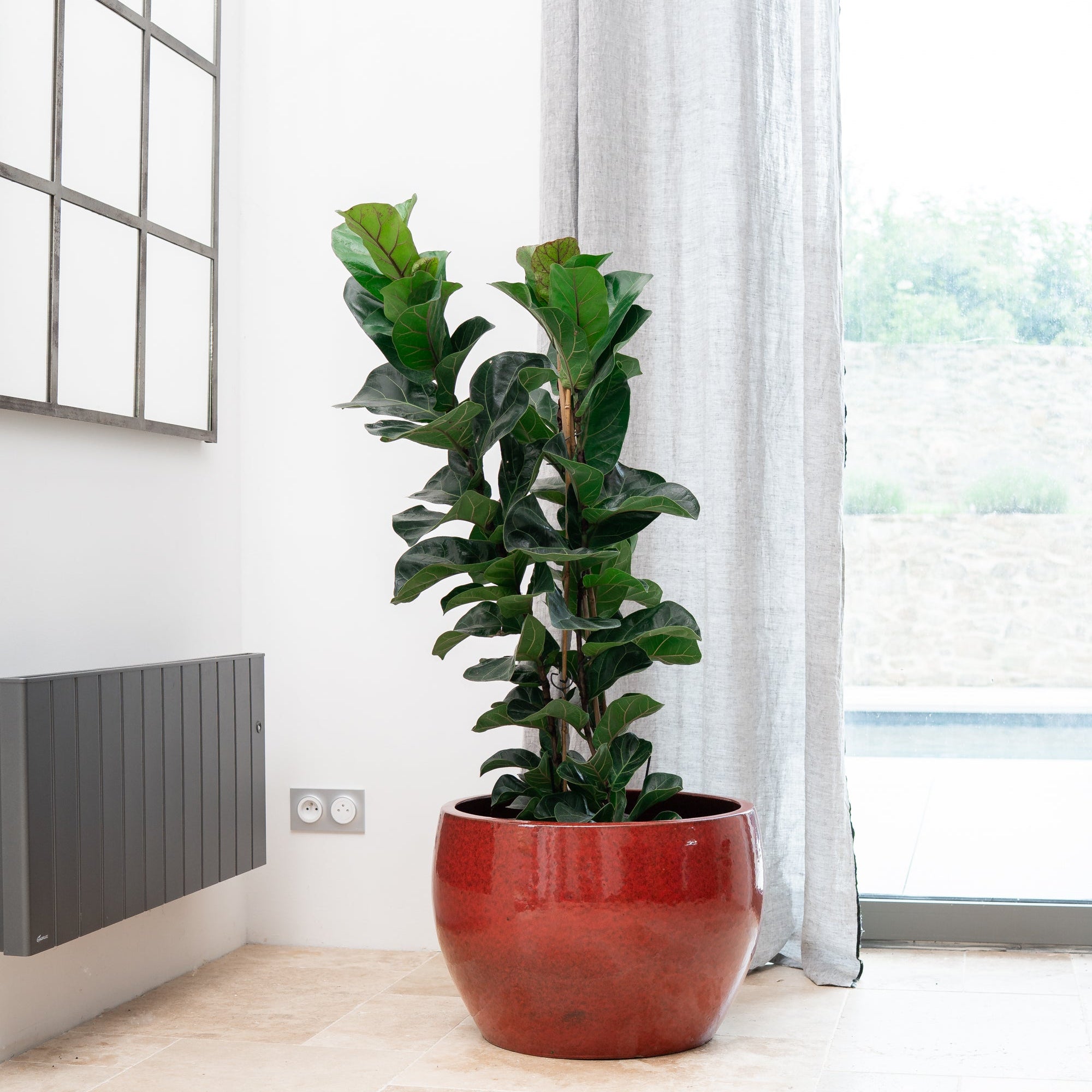 Keramicky kvetináč Romulus - Tropická červená