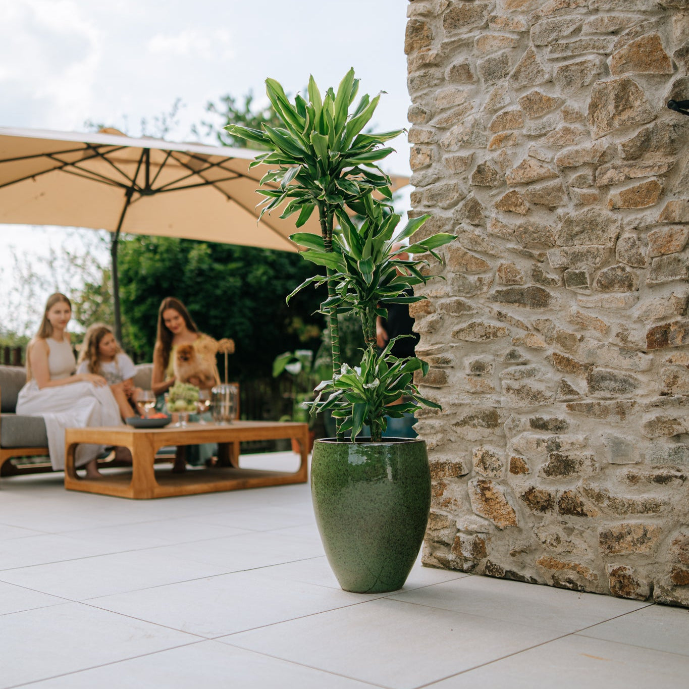 Keramický kvetináč LAFONTAINE - Tropická zelená