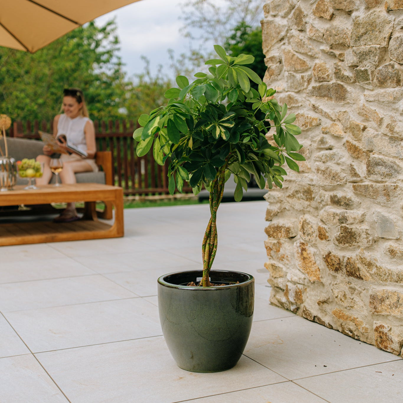 Keramický kvetináč LANCELOT - Tropická zelená