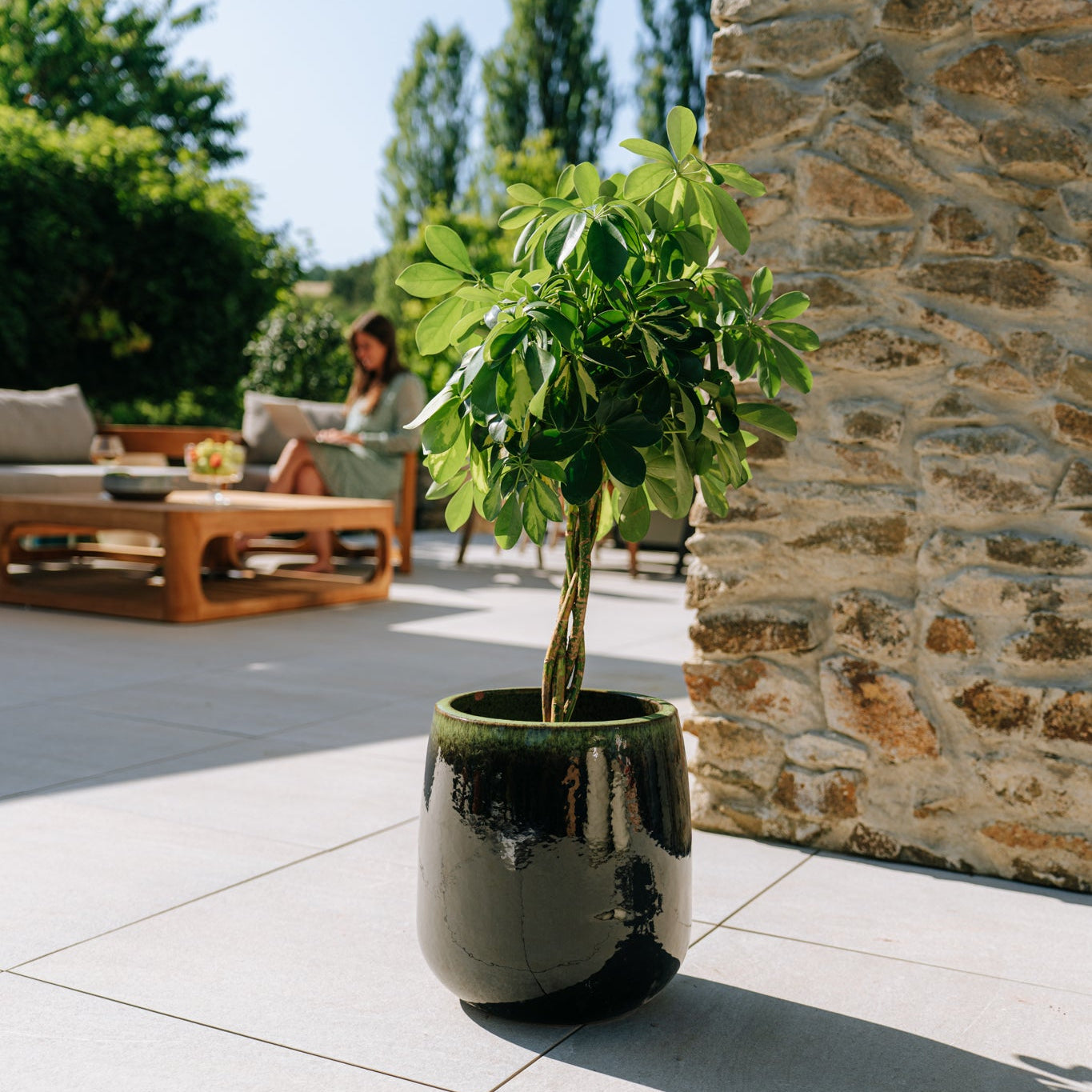 Keramický kvetináč Socrate – Zeleno-čierna