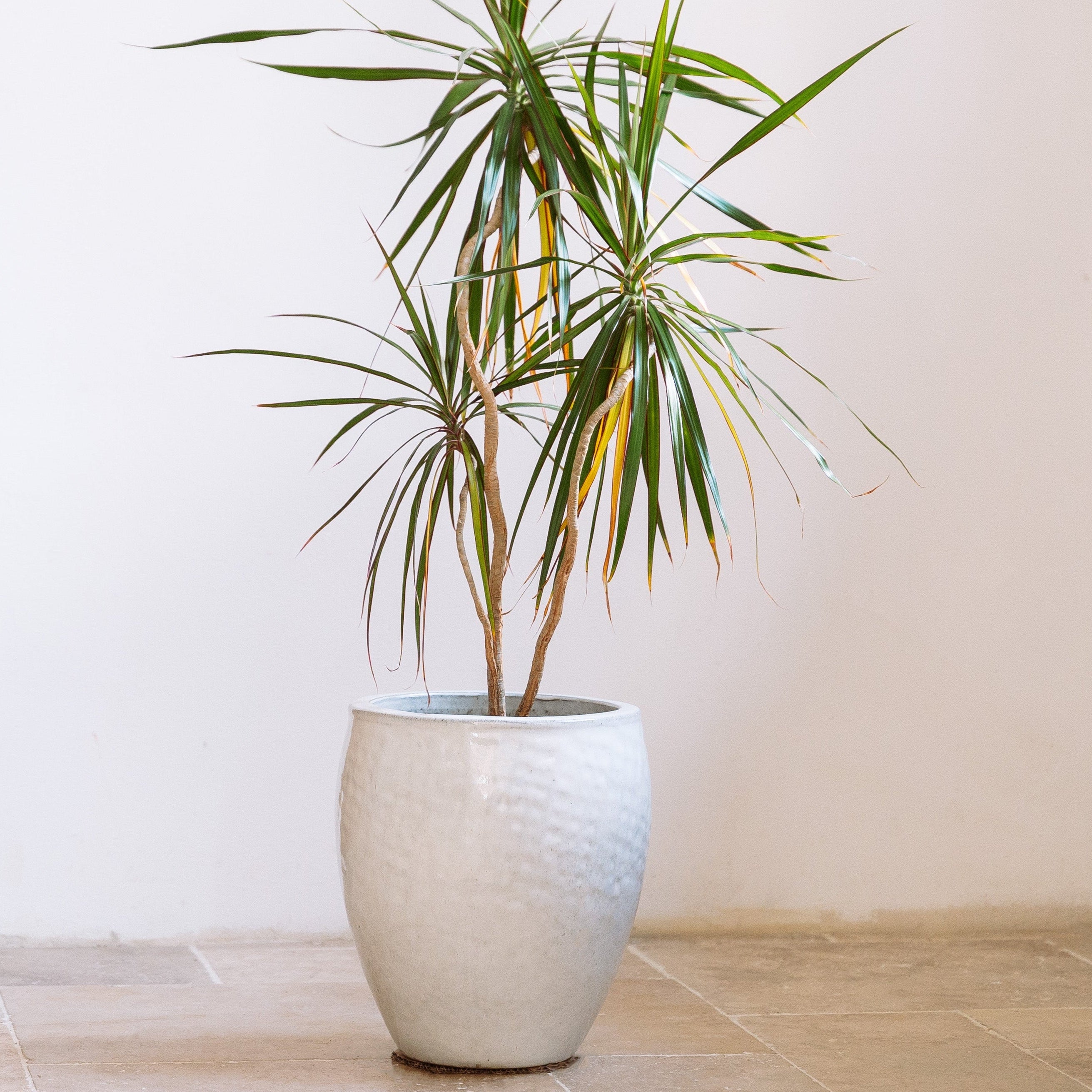 Keramický kvetináč Poseidon – Biela