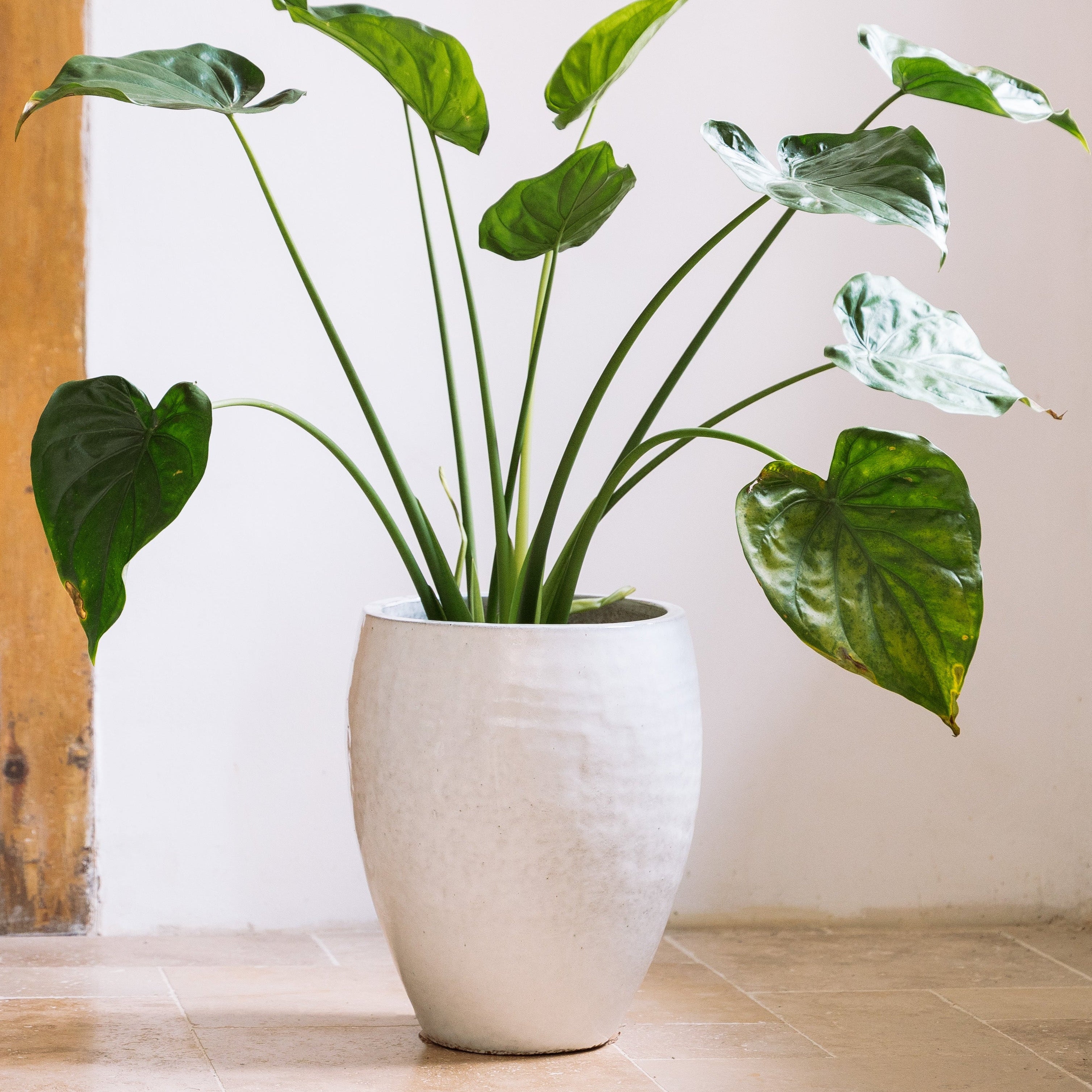 Keramický kvetináč Poseidon – Biela