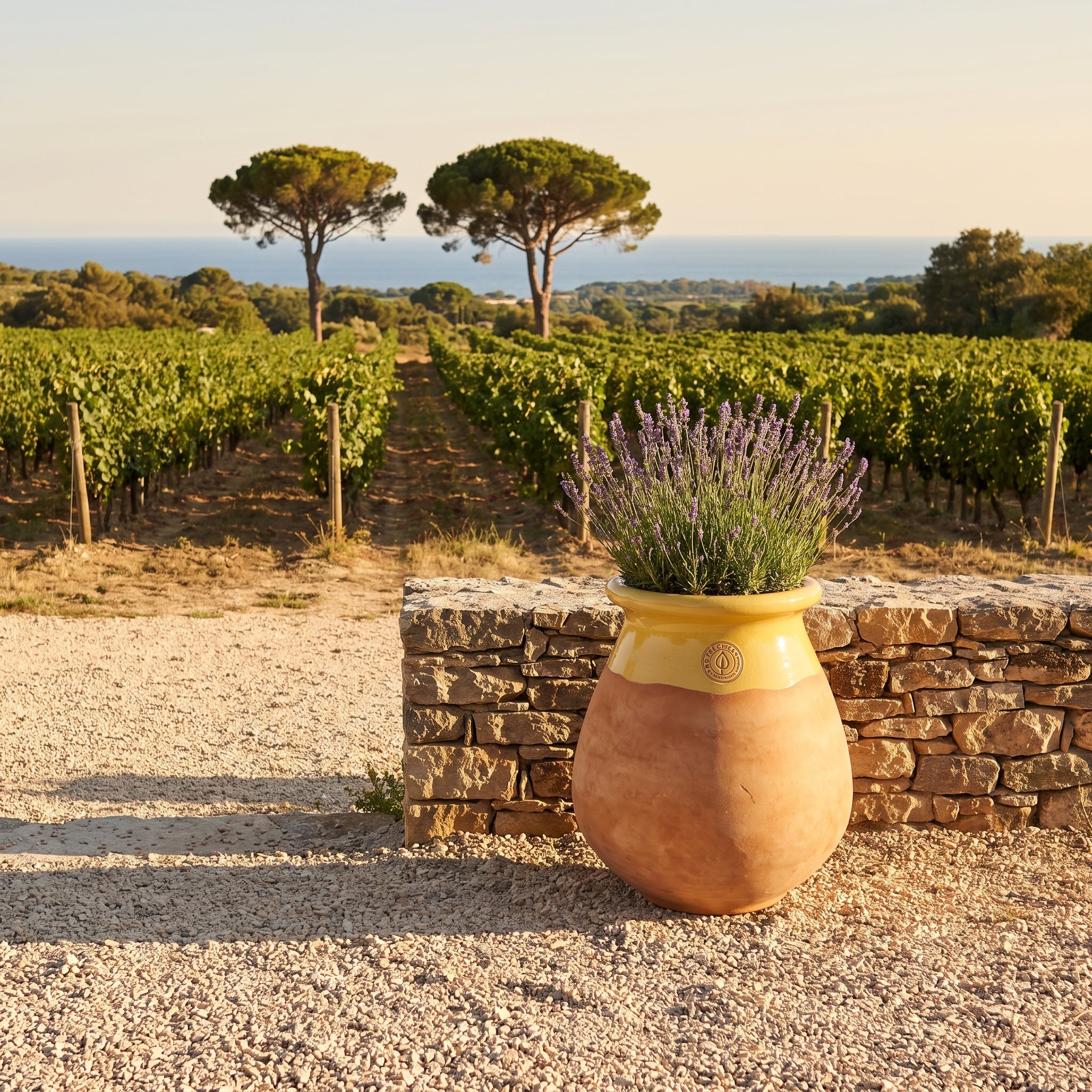 Provensálsky biot MADE IN PROVENCE – terakota cérusée s medovým golierom - XL (63 cm)