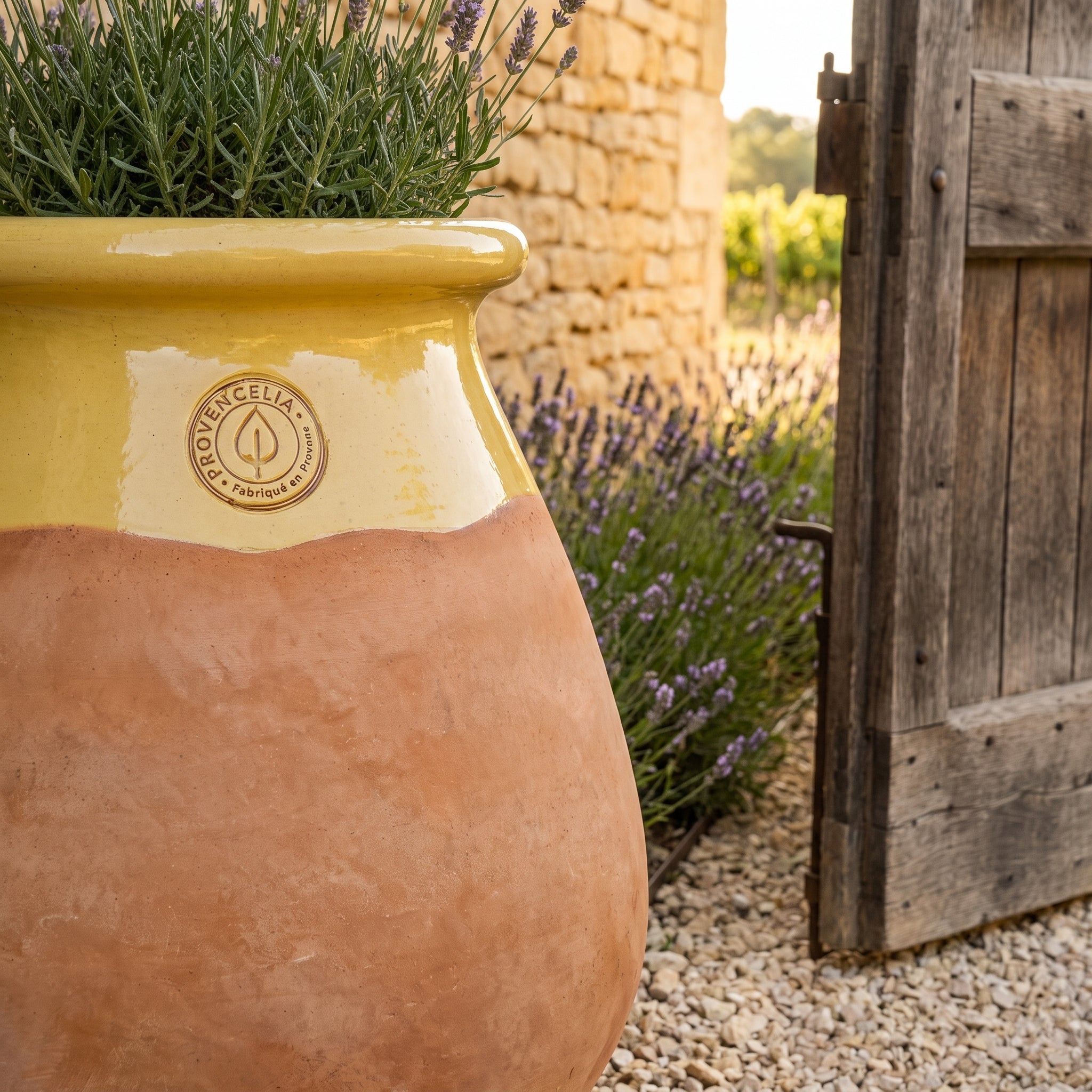 Provensálsky biot MADE IN PROVENCE – terakota cérusée s medovým golierom - XL (63 cm)