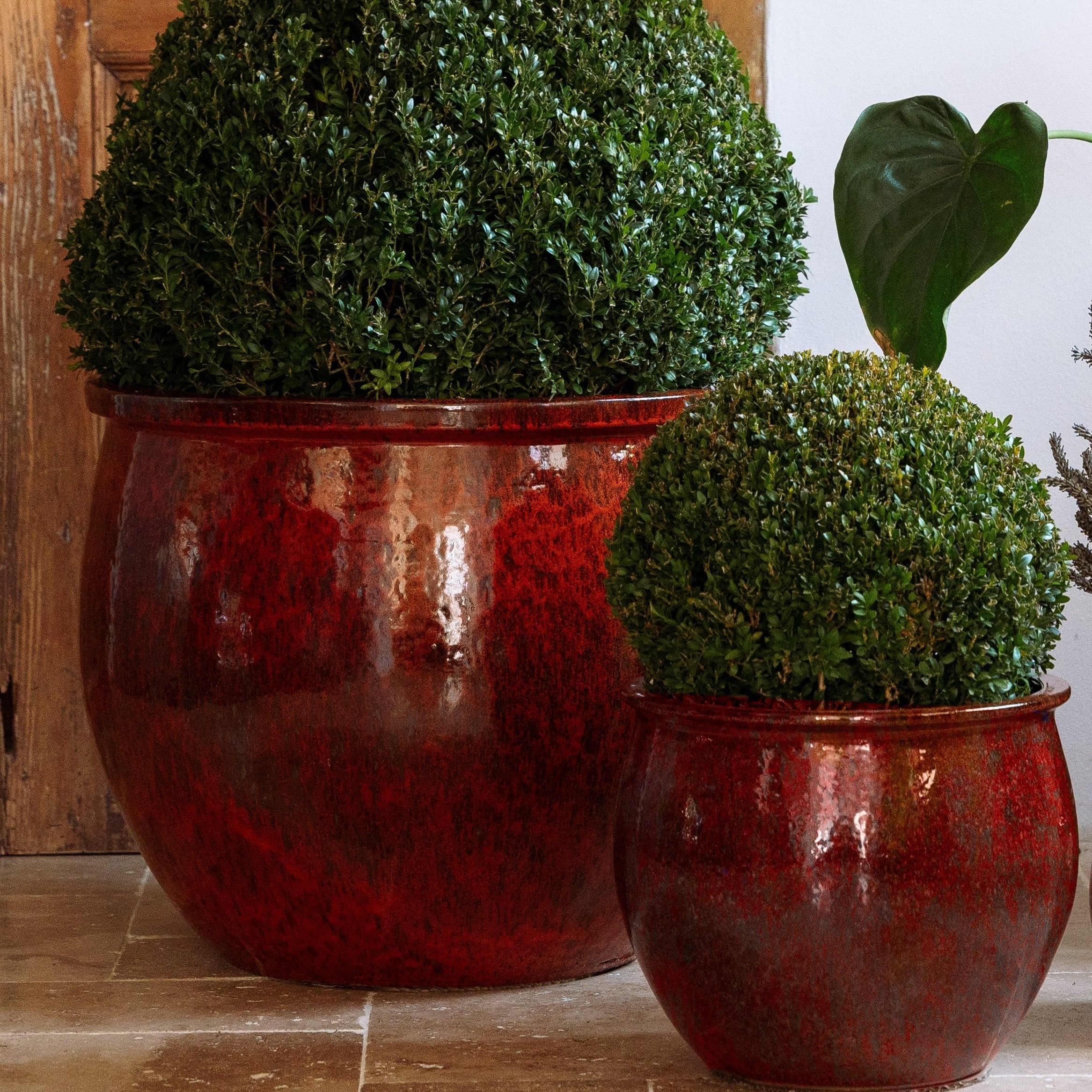 Keramický květináč Newton - Podzimně oranžová - Provencelia.cz