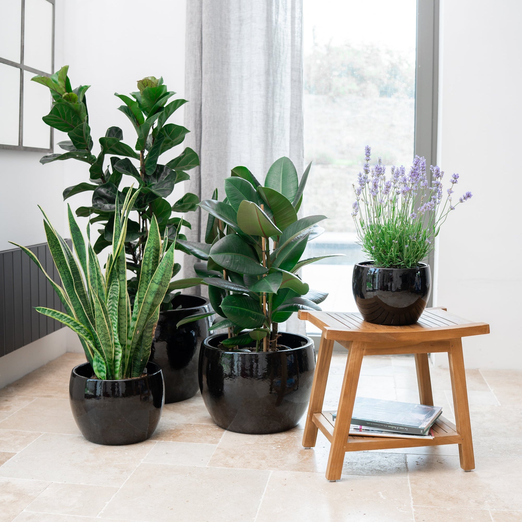 Keramicky kvetináč Romulus - Čierna