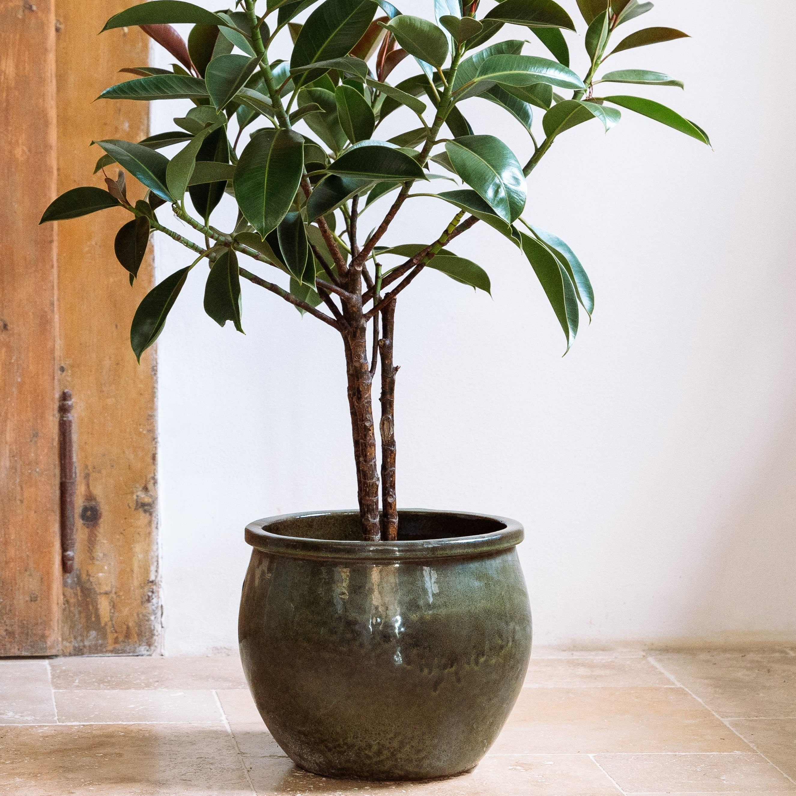 Keramický květináč Newton - Tropická zelená - Provencelia.cz