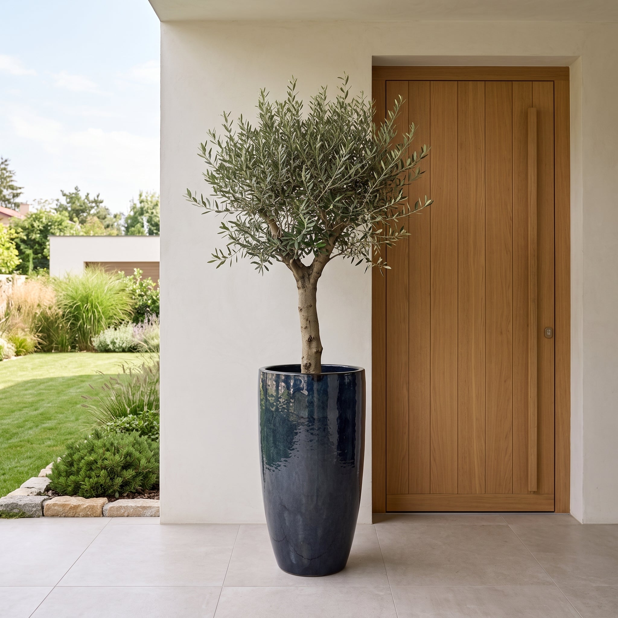 Vysoký keramický květináč Eiffel2 - Safírová – ručně vyráběný květináč - XXXL (47 x 92 cm) s olivovníkem před vchodem do moderního domu.