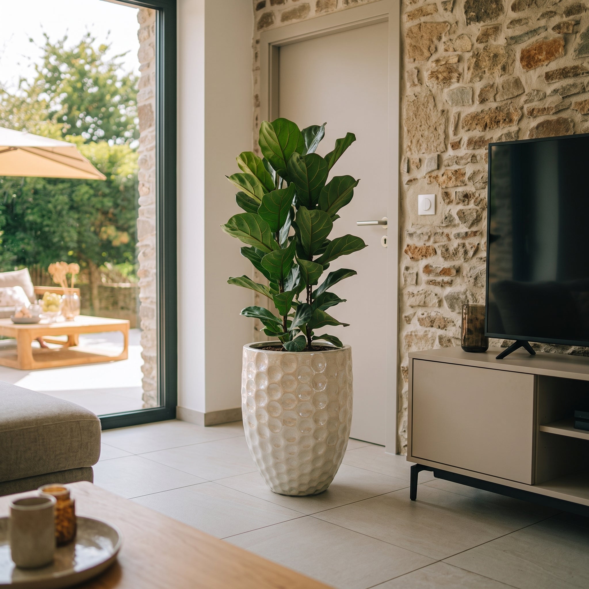 Perlový keramický květináč MEROVEE XL o rozměrech 42 x 55 cm s rostlinou Ficus lyrata v moderním obývacím interiéru.