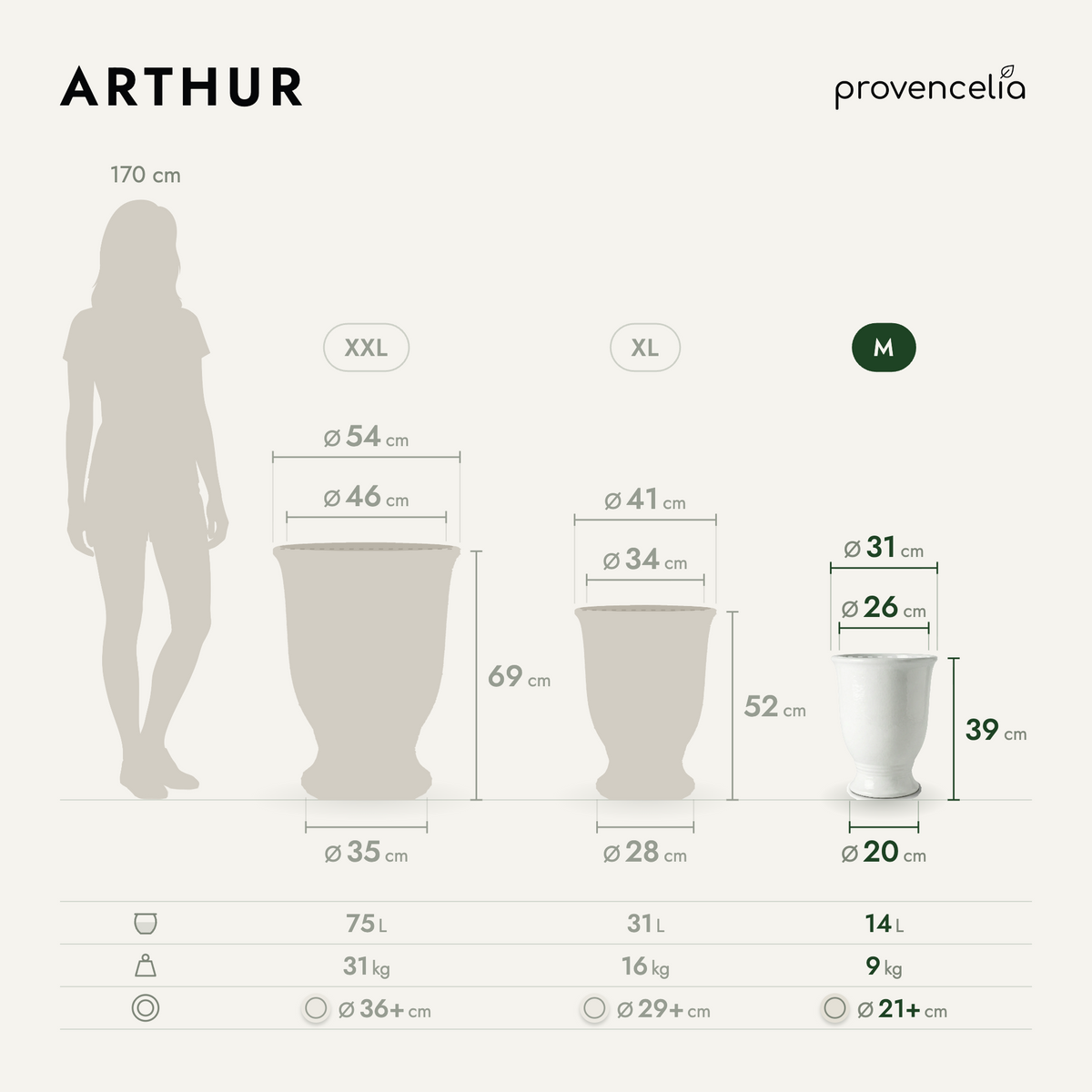 ARTHUR M – rozmery