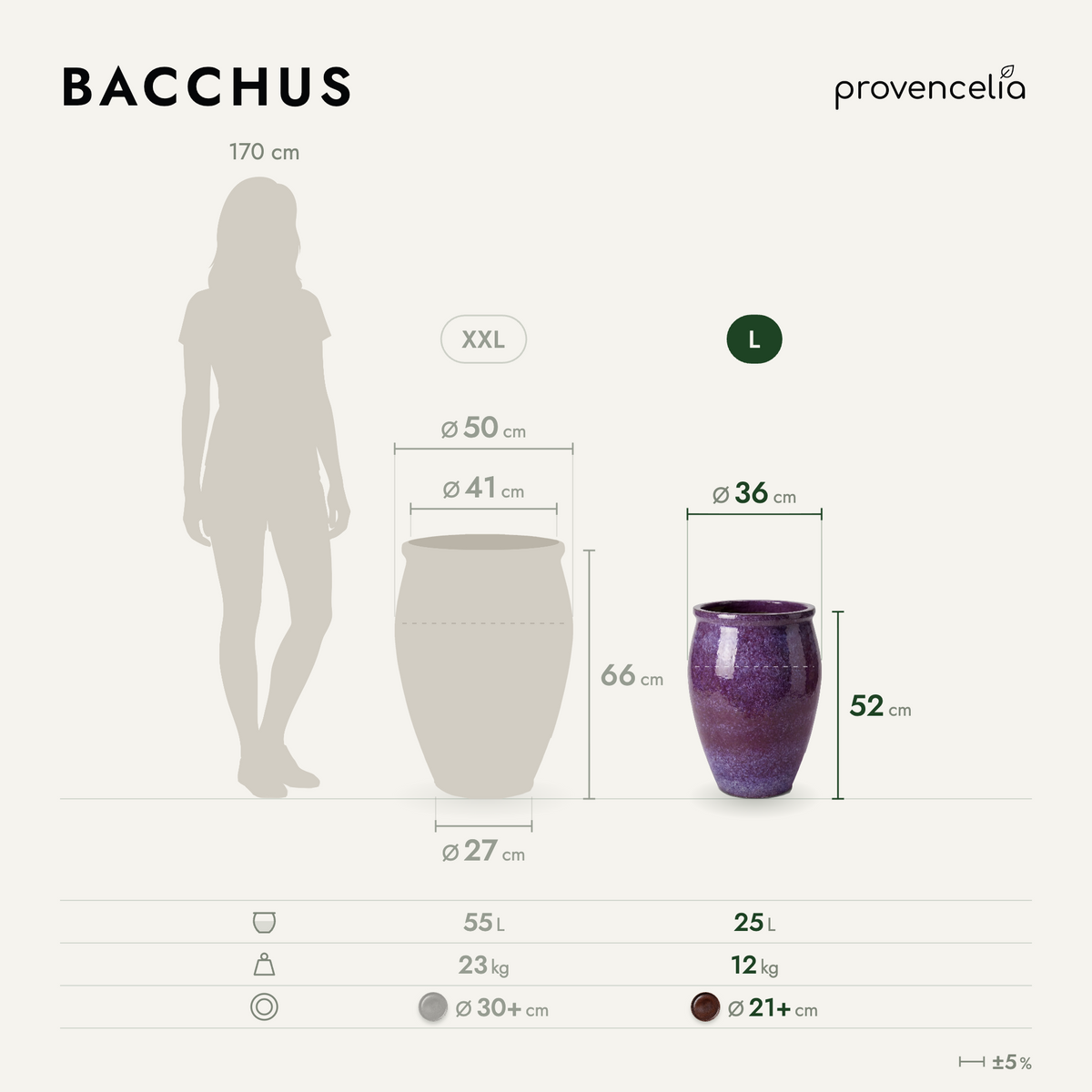 BACCHUS XL – rozmery