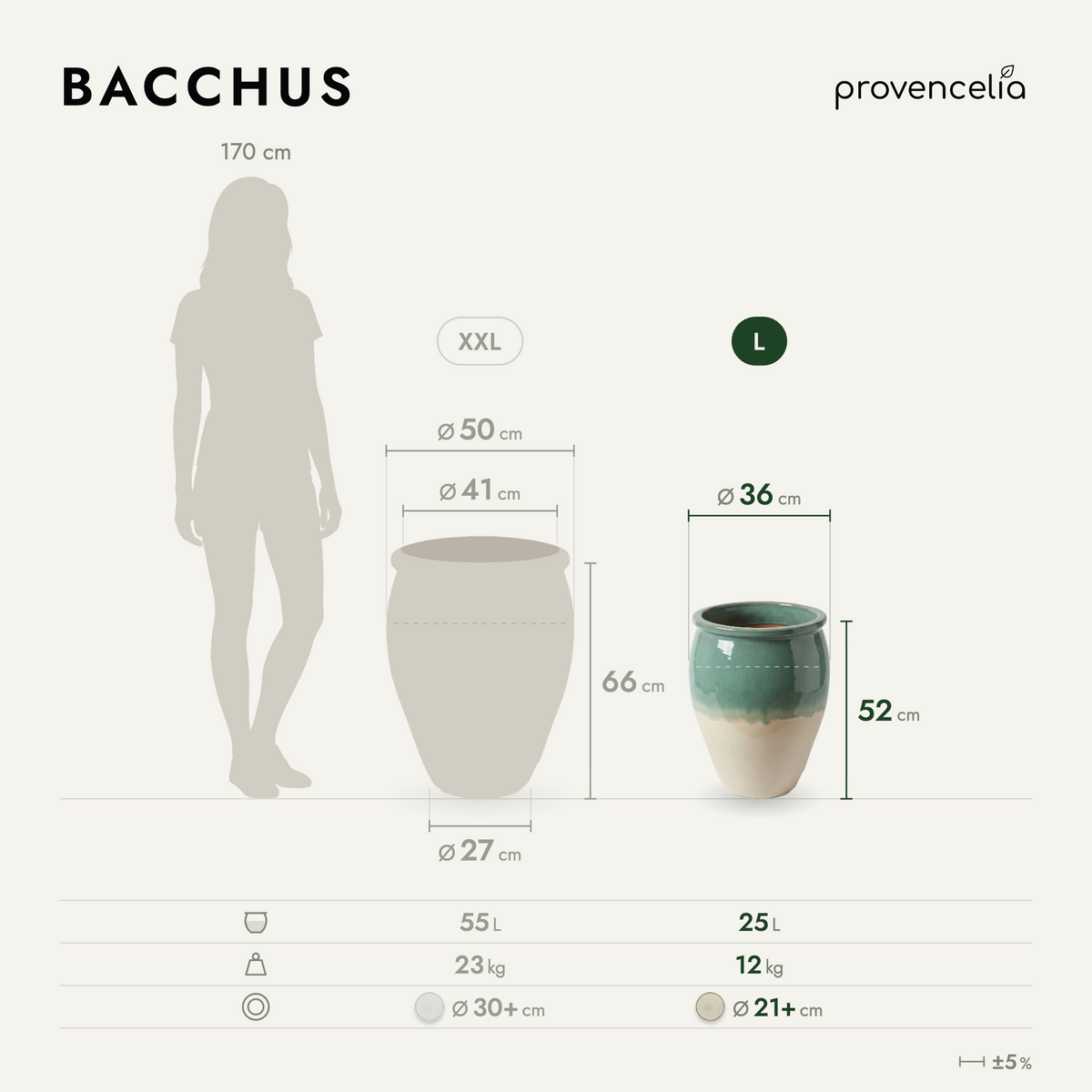 BACCHUS L – rozmery