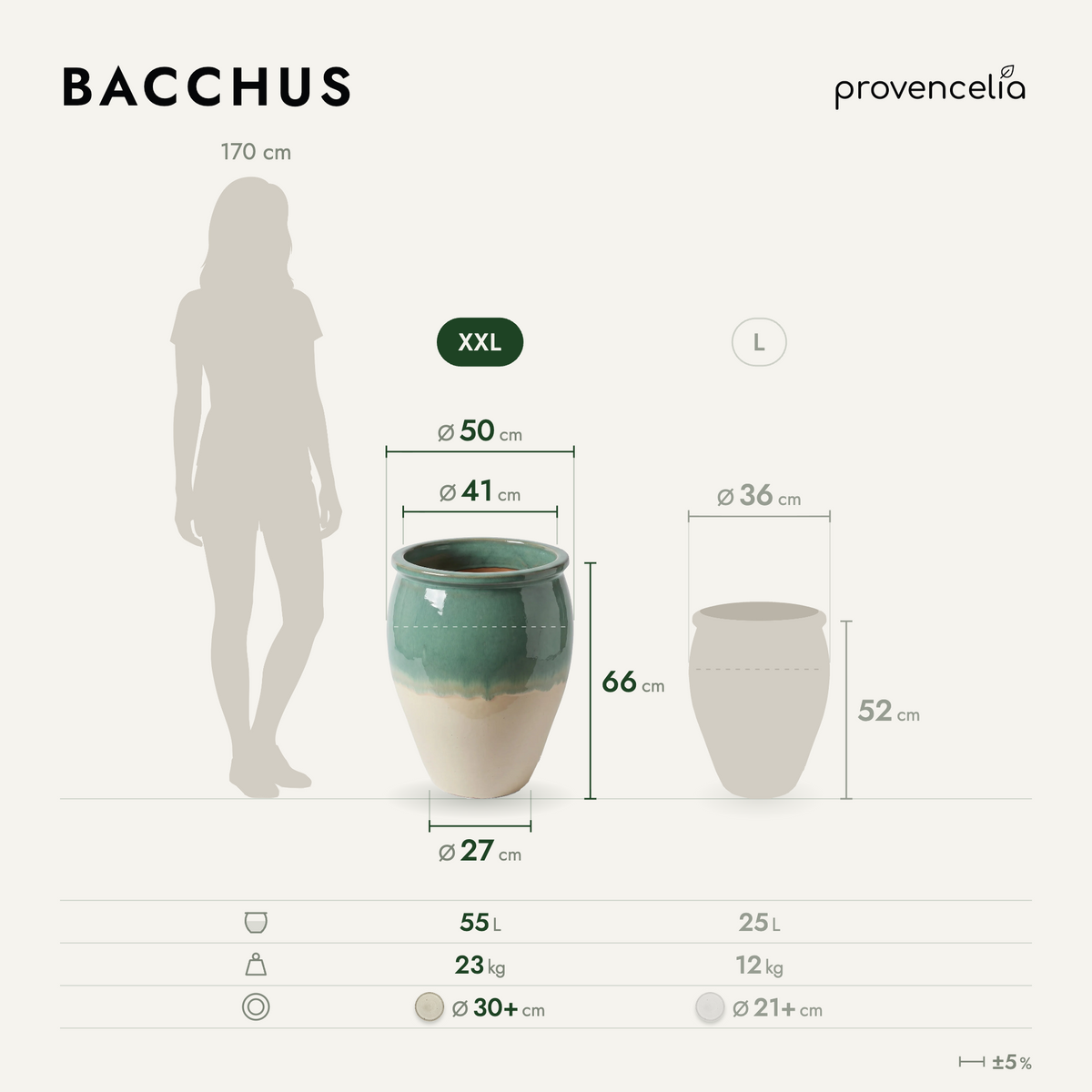 BACCHUS XXL – rozmery