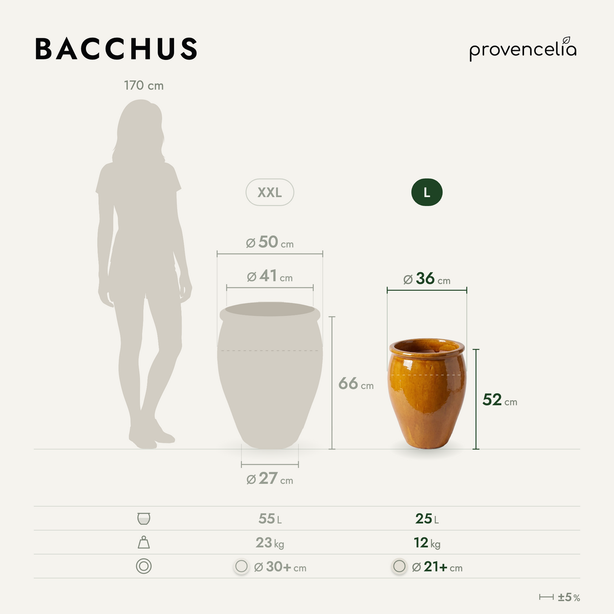 BACCHUS L – rozmery