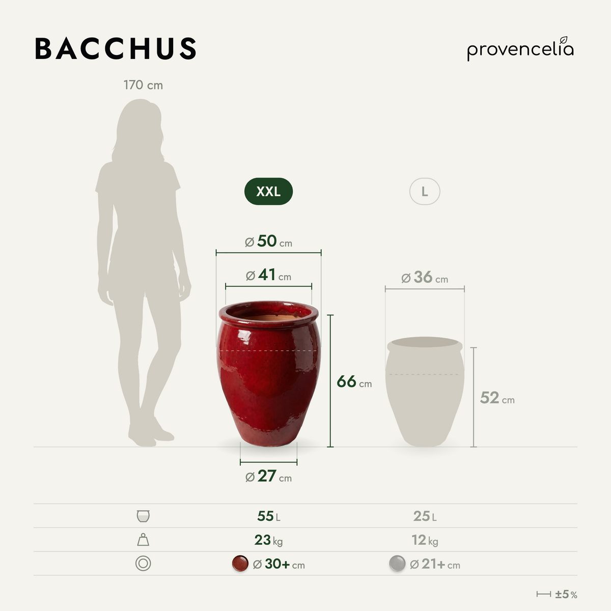 BACCHUS XXL – rozmery