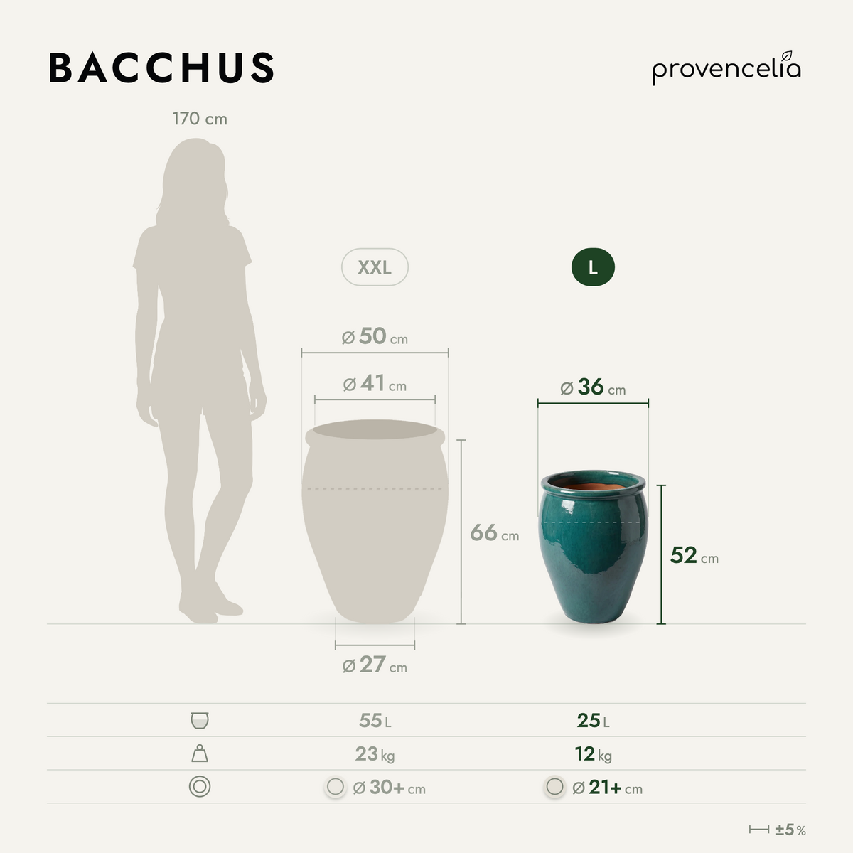 BACCHUS L – rozmery