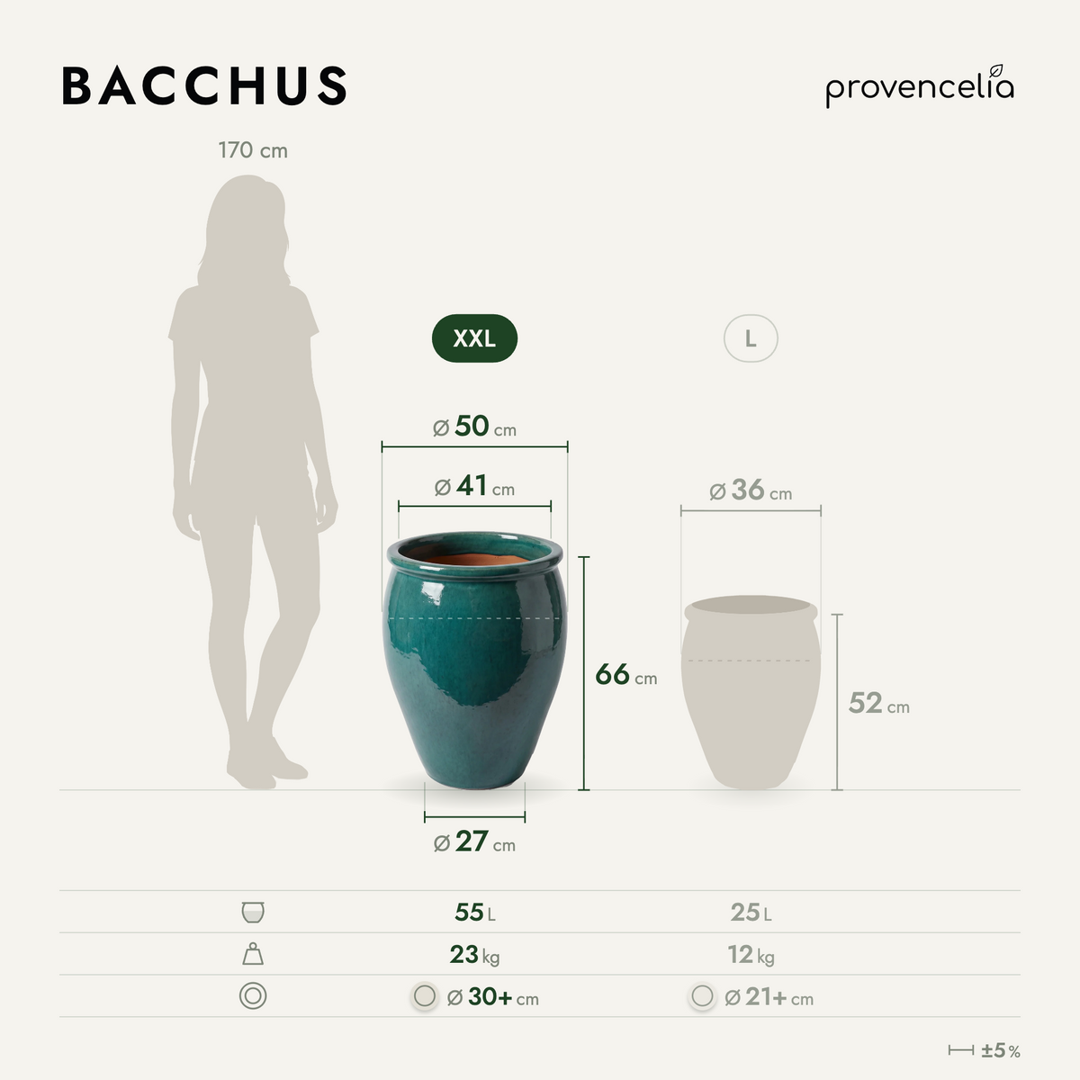 BACCHUS XXL – rozmery