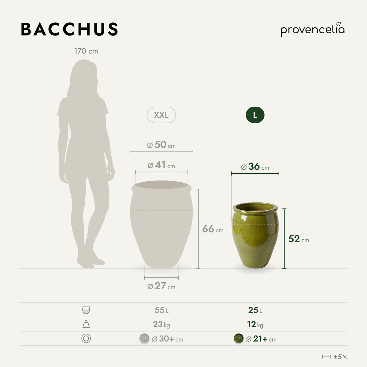 BACCHUS L – rozmery