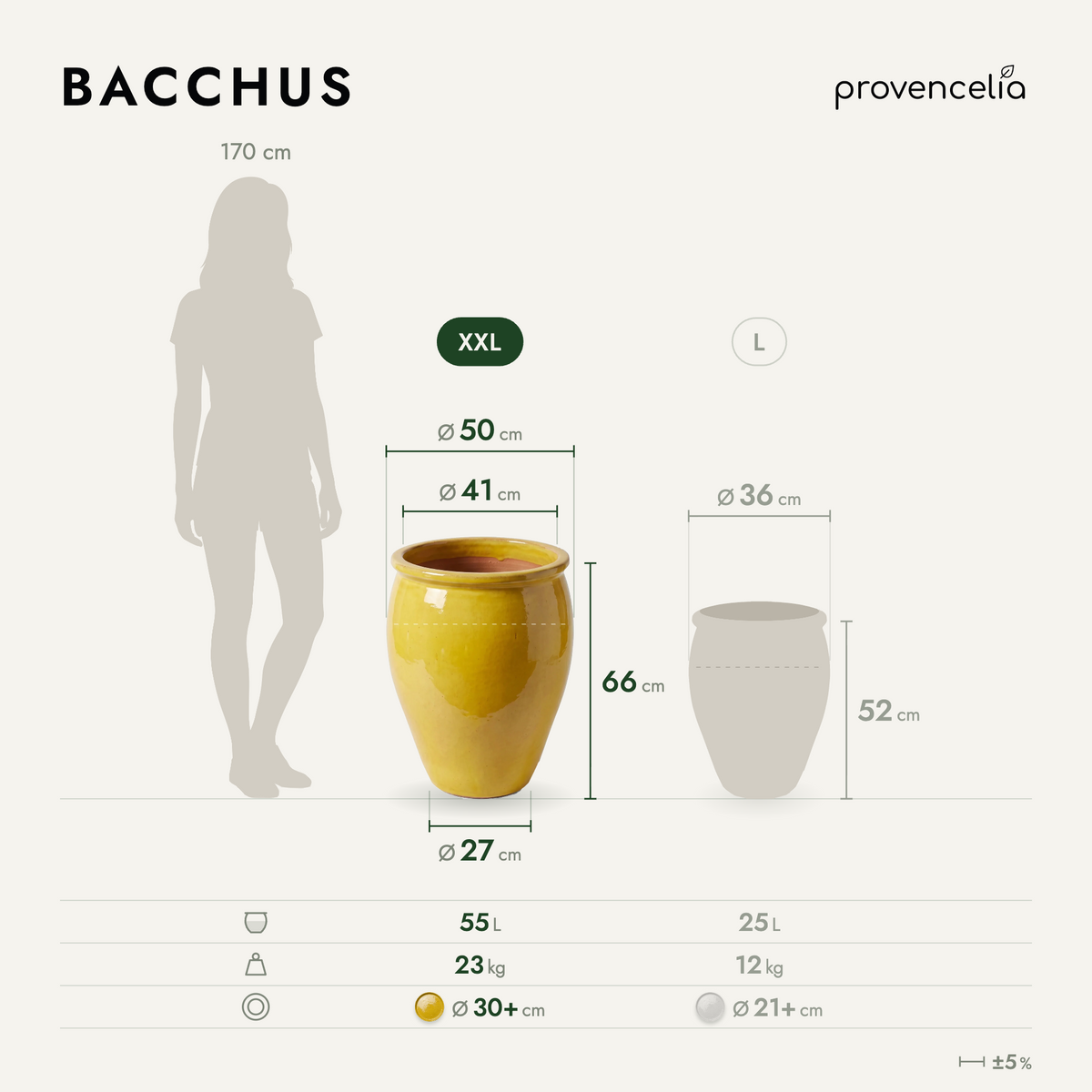 BACCHUS XXL – rozmery