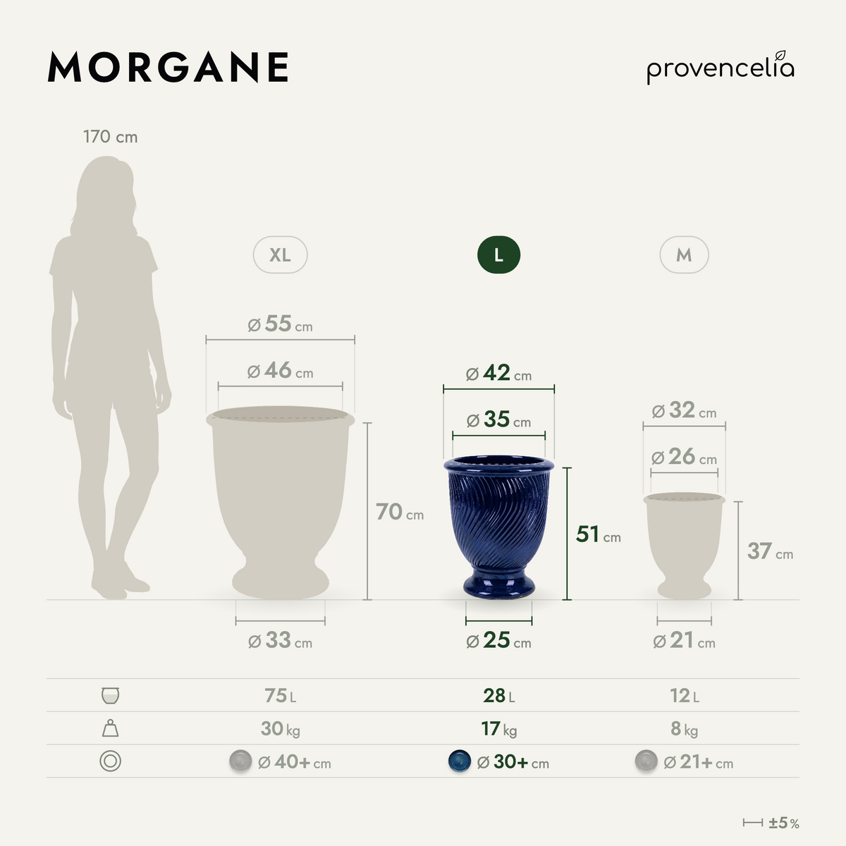 MORGANE L – rozmery