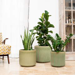 Keramický kvetináč London – zelená