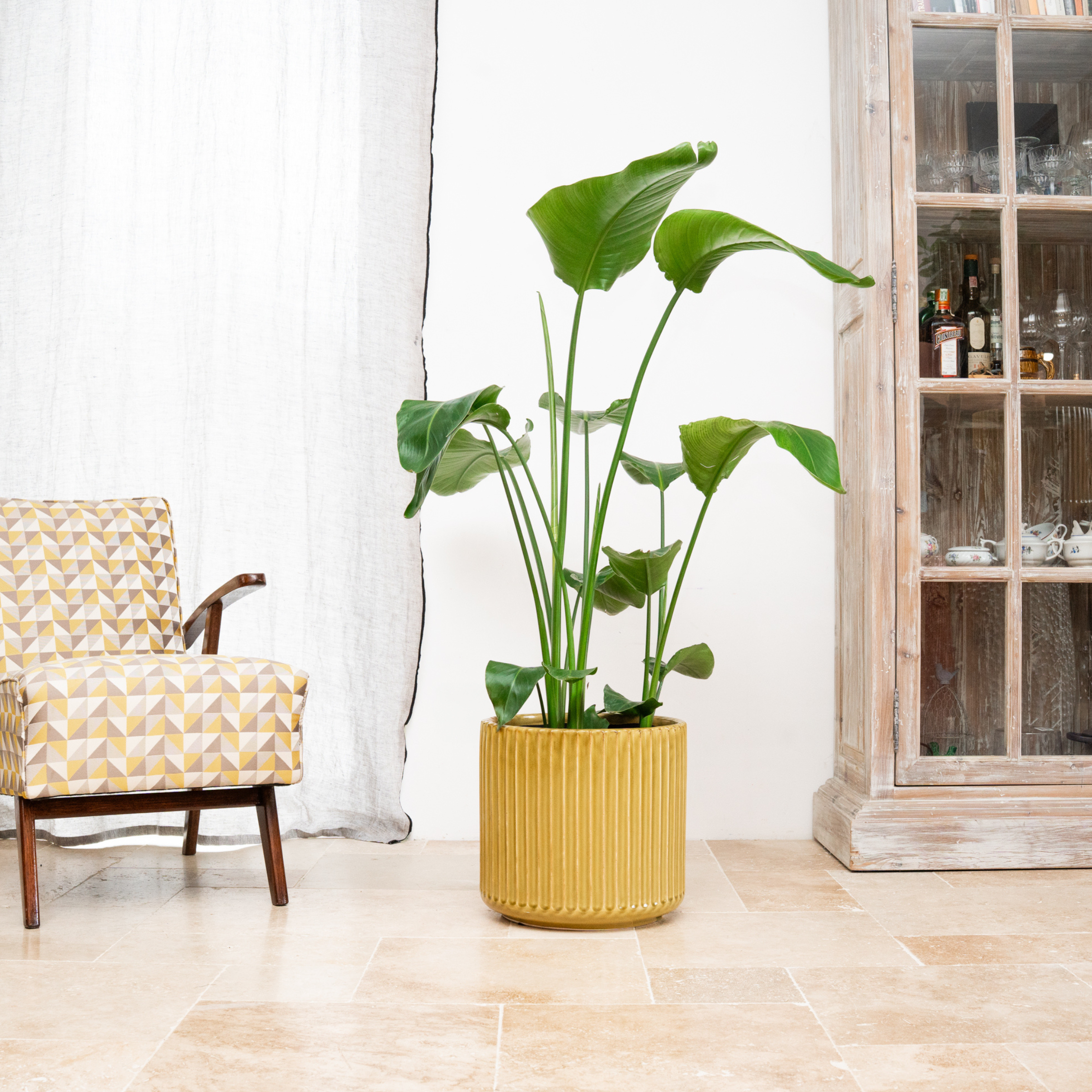 Keramický kvetináč London – Žltá