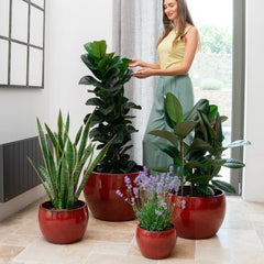 Keramicky kvetináč Romulus - Tropická červená