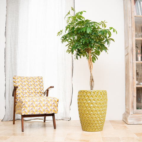 Keramický kvetináč Versaille – Žltý