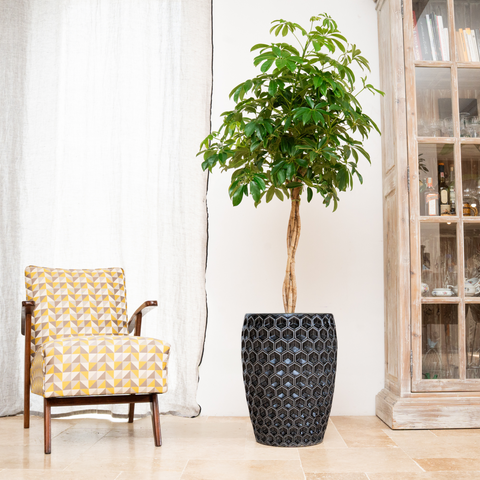 Keramický kvetináč Versailles – čierny