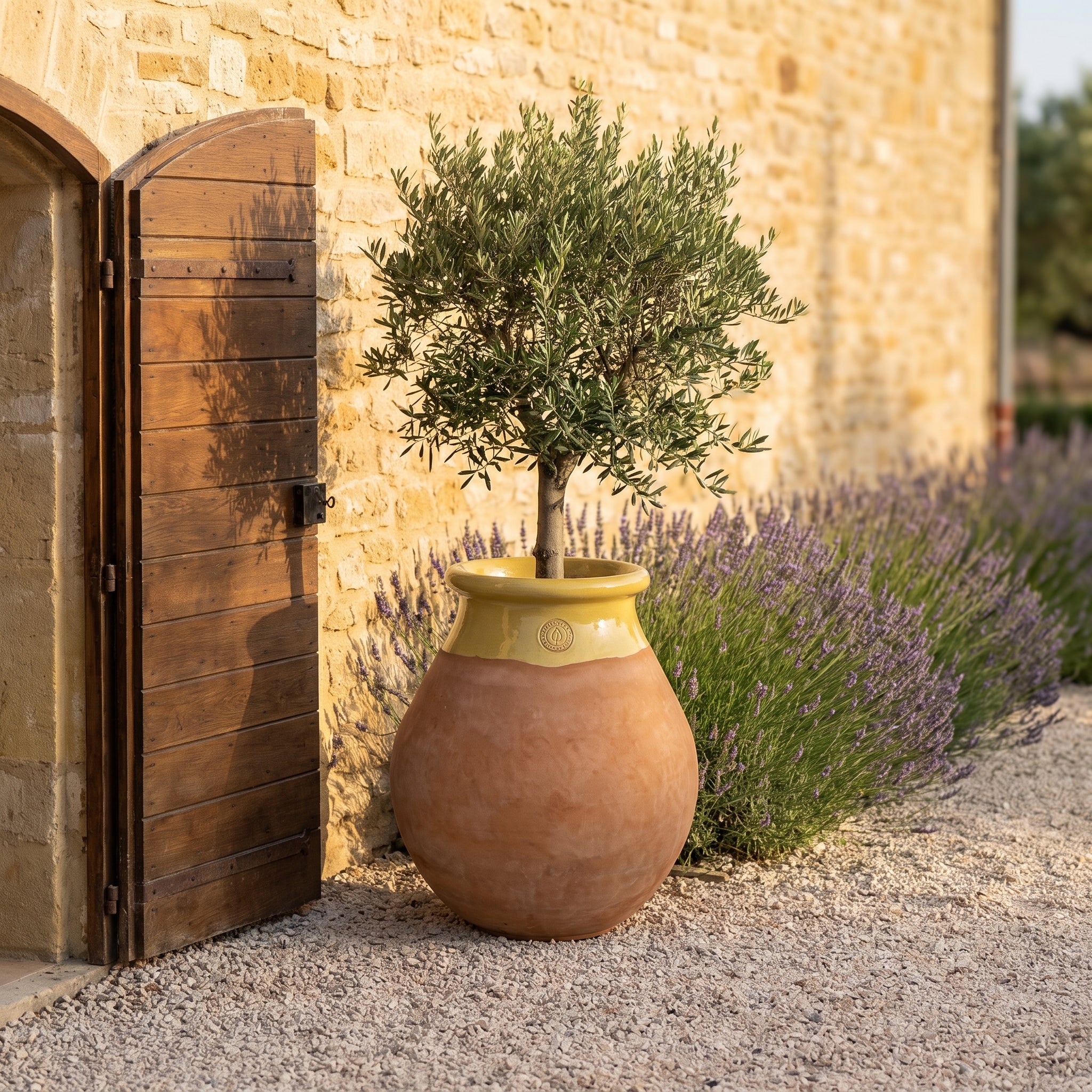 Provensálsky biot MADE IN PROVENCE – terakota cérusée s medovým golierom - 2XL (85 cm)