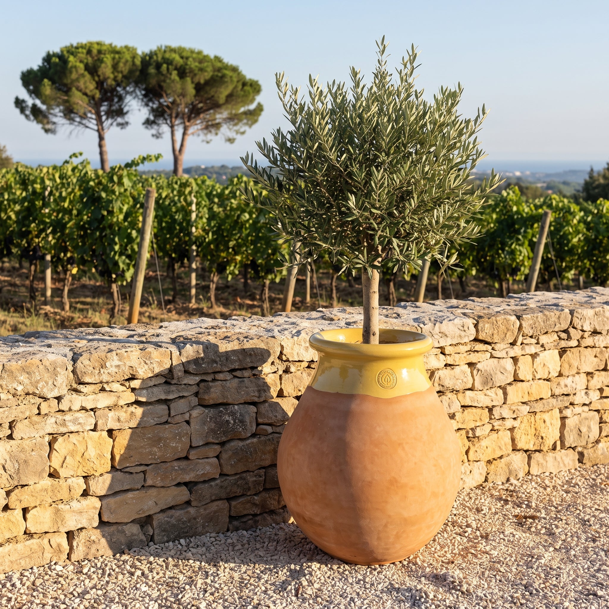 Provensálsky biot MADE IN PROVENCE – terakota cérusée s medovým golierom - 2XL (85 cm)