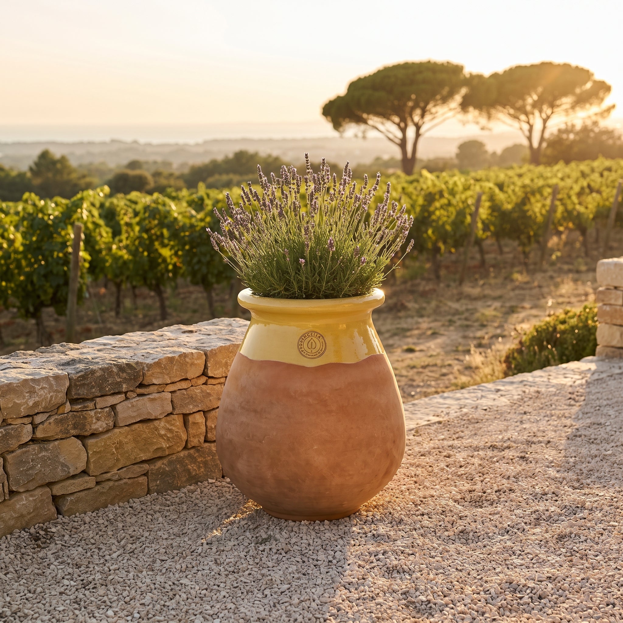 Provensálsky biot MADE IN PROVENCE – terakota cérusée s medovým golierom - XL (63 cm)
