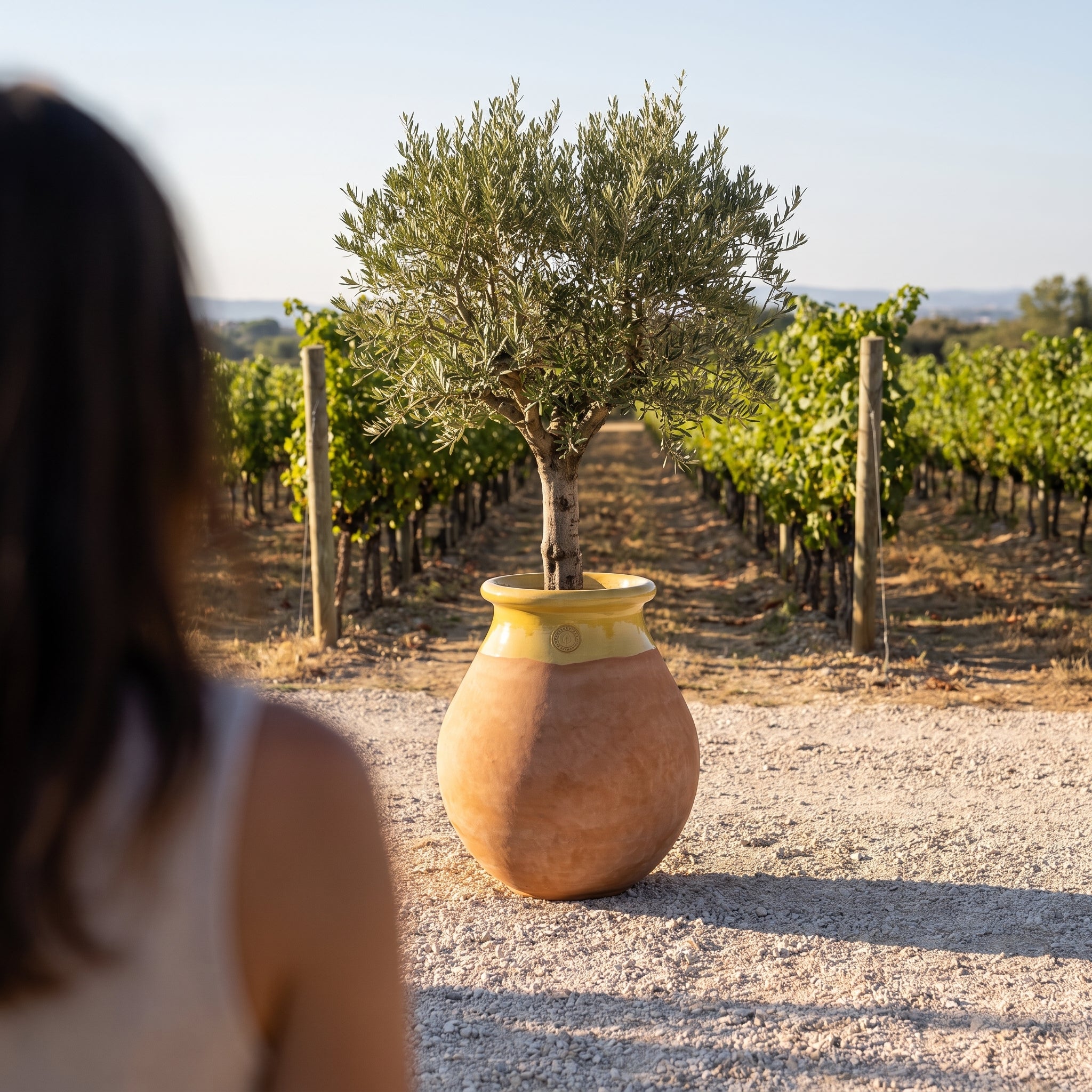 Provensálsky biot MADE IN PROVENCE – terakota cérusée s medovým golierom - 2XL (85 cm)