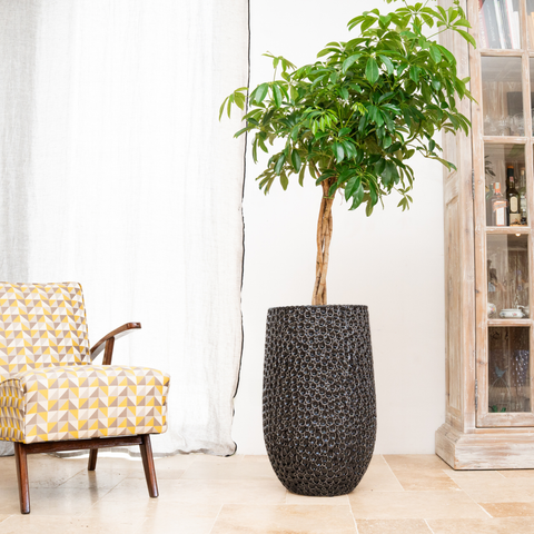 Keramický kvetináč Paris – Čierna