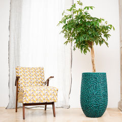 Keramický kvetináč Paris – Tmavozelená