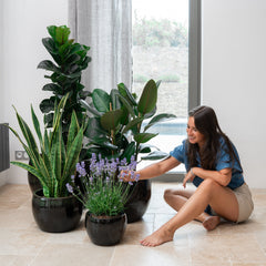 Keramicky kvetináč Romulus - Čierna