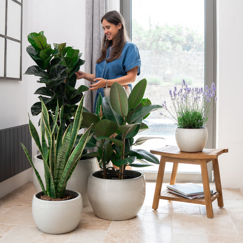 Keramicky kvetináč Romulus - Krémová