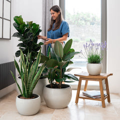 Keramicky kvetináč Romulus - Krémová