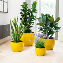 Keramicky kvetináč Romulus - Žltý