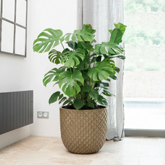 Keramický kvetináč Mars Brúsený bronz - ručne vyrábaný glazovaný kvetináč z terakoty