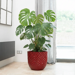 Keramický kvetináč Mars Cisársky červený – ručne vyrábaný glazovaný kvetináč z terakoty