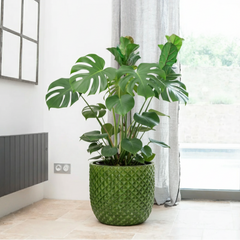 Keramický kvetináč Mars Jablčne zelený – ručne vyrábaný glazovaný kvetináč z terakoty