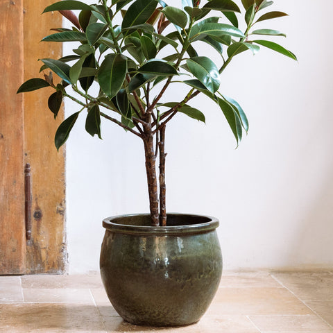 Keramický kvetináč Newton - Tropická zelená.