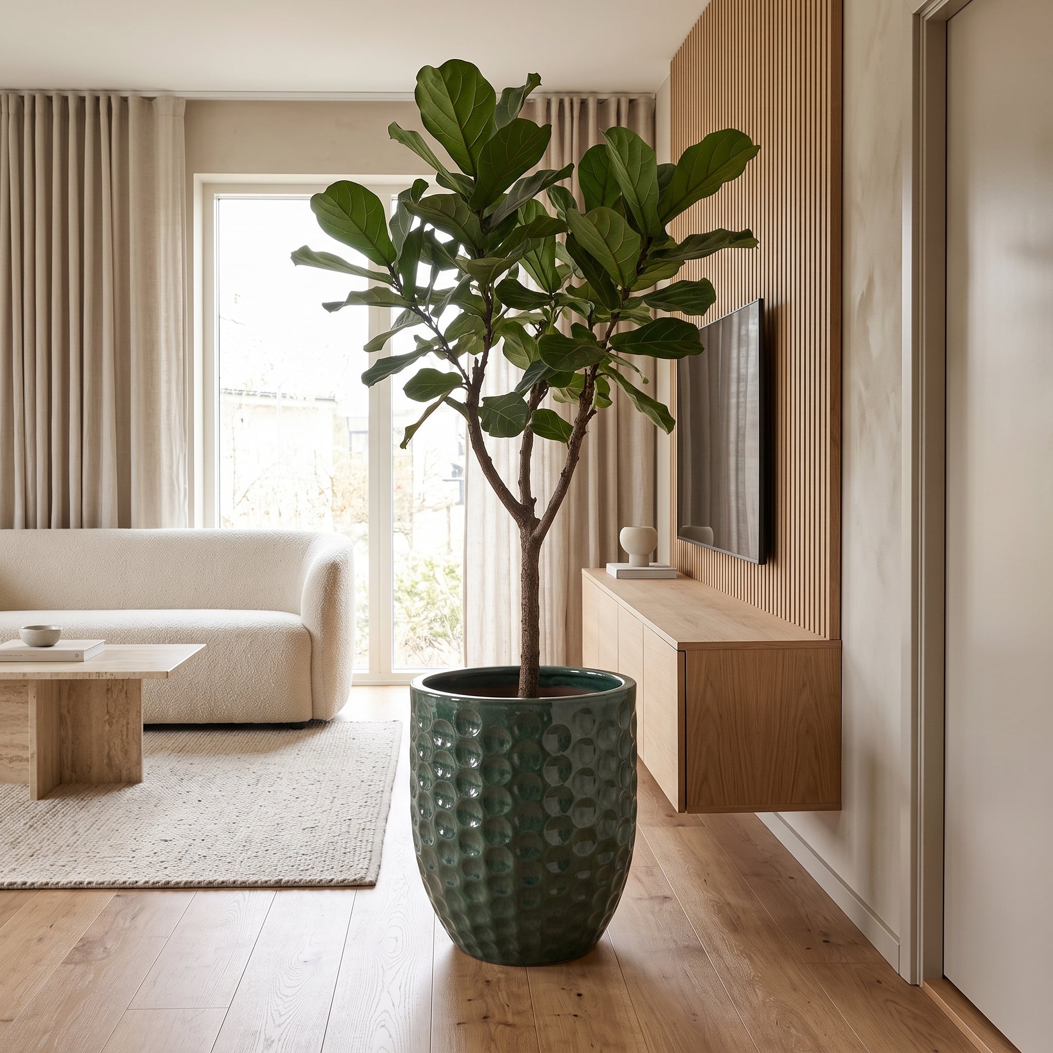 Keramický květináč MEROVEE - Nefrit - XXL (55 x 65 cm) s rostlinou Ficus lyrata ve světlém skandinávském obývacím pokoji.
