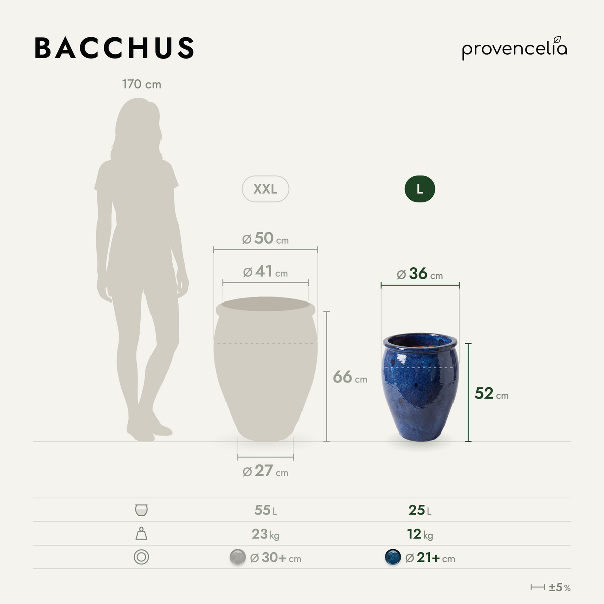 BACCHUS L – rozmery