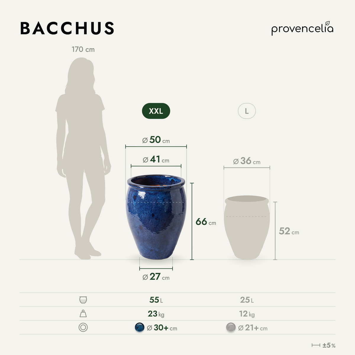 BACCHUS XXL – rozmery