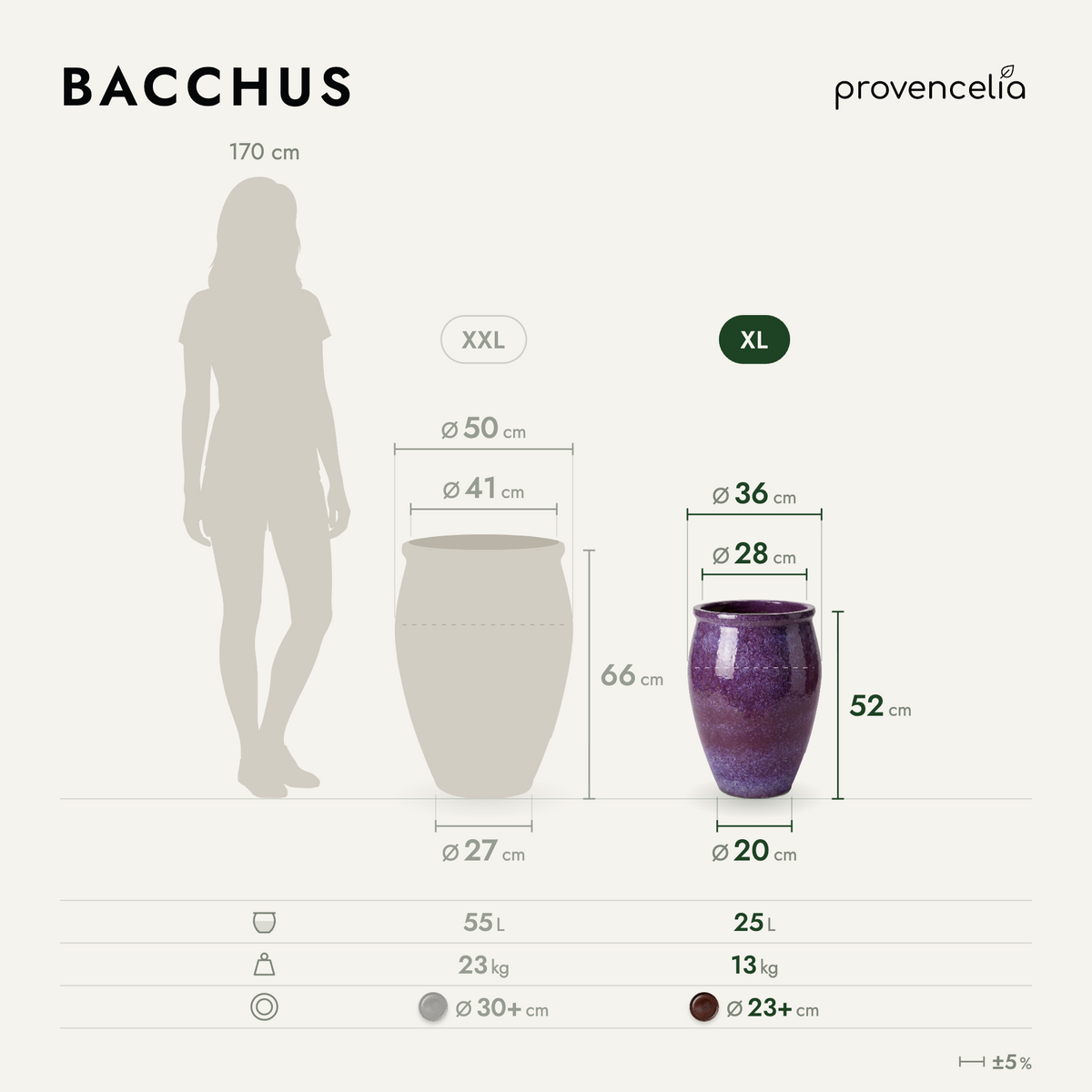 BACCHUS XL – rozmery